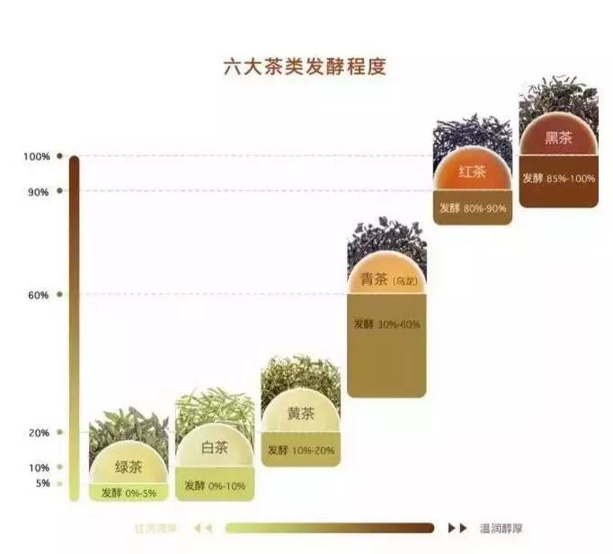 中國茶道：一次性把中國茶講清楚