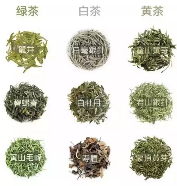 中國茶道：一次性把中國茶講清楚