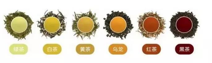 中國茶道：一次性把中國茶講清楚